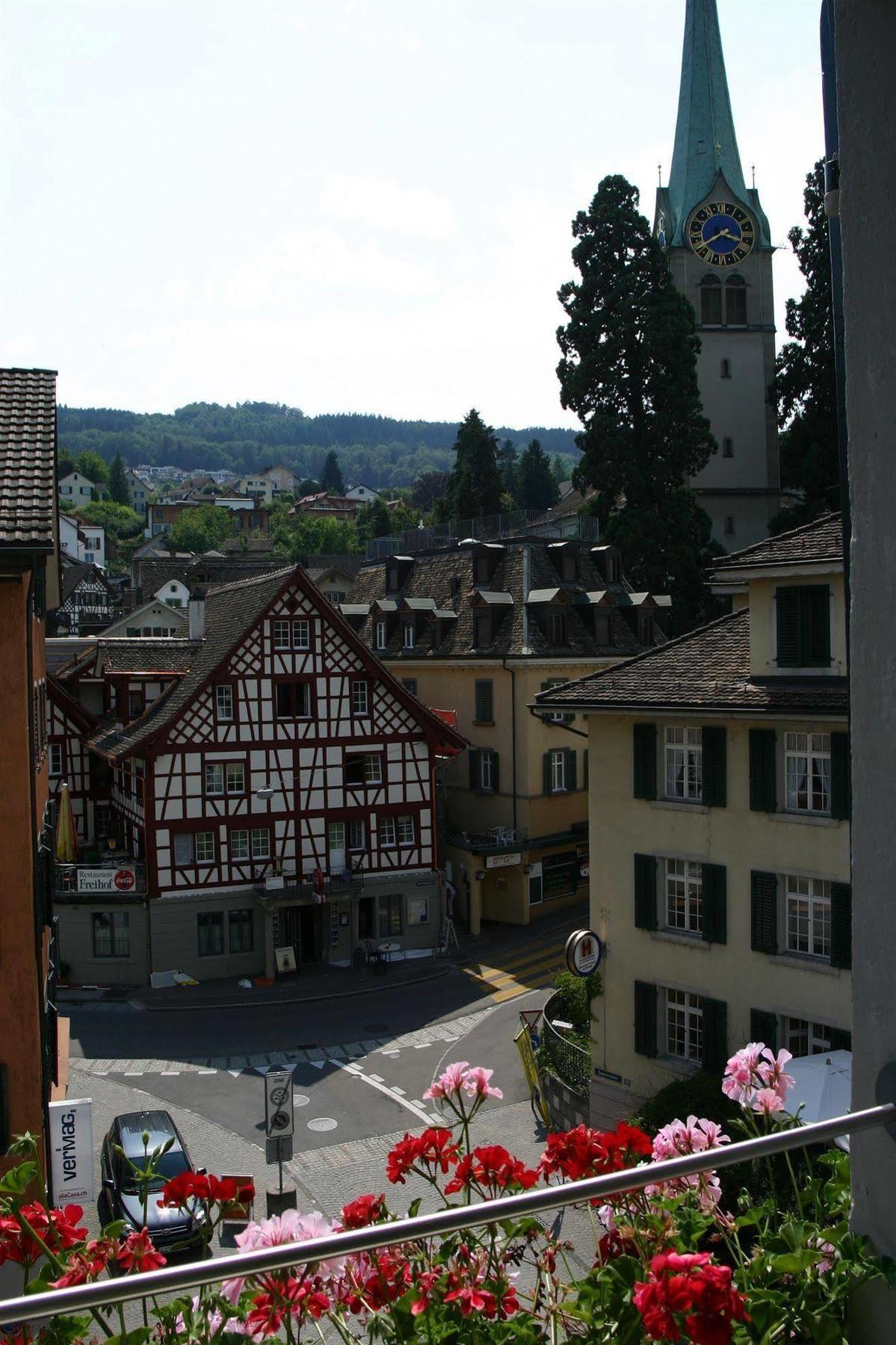 Romantik Hotel Schwan Horgen Exteriör bild